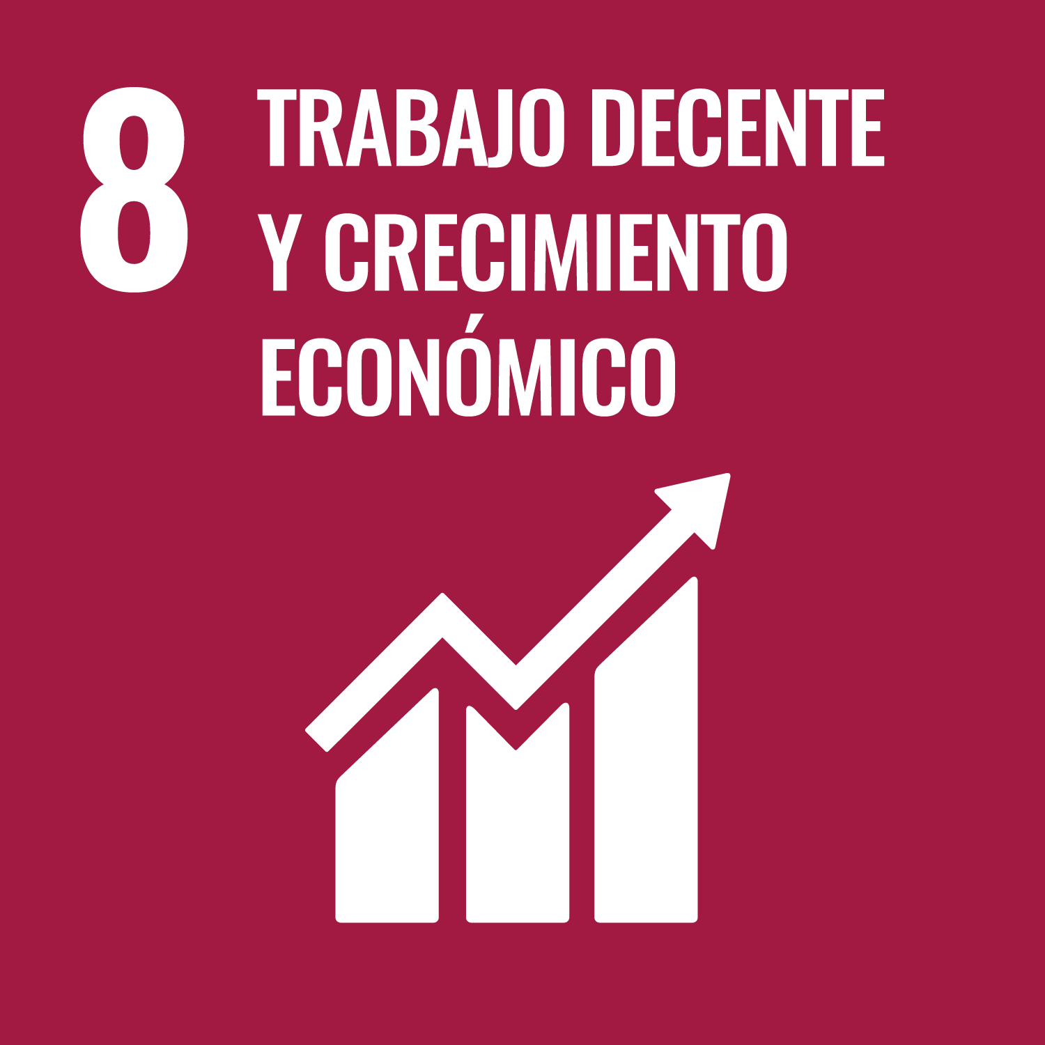 objetivo8